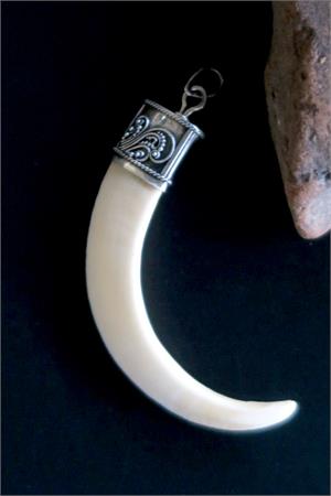 Boar Tusk and Sterling Silver Pendant Necklace Artisan Jewelry